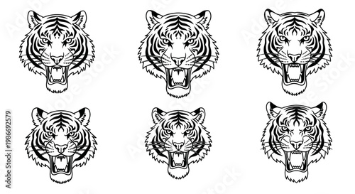 Six tiger heads in a row.