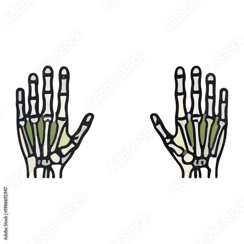 Human Hand Skeleton Anatomy Diagram