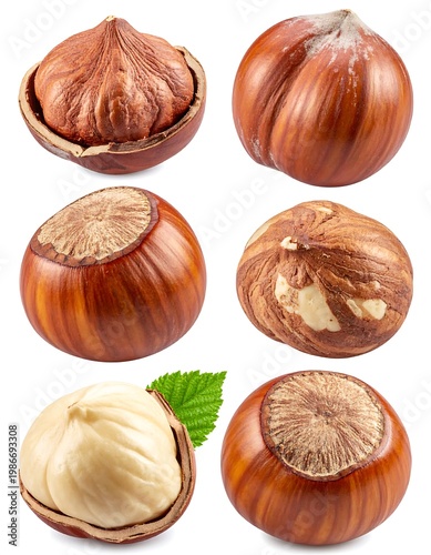 Assortment of hazelnuts shelled and unshelled, with a leaf