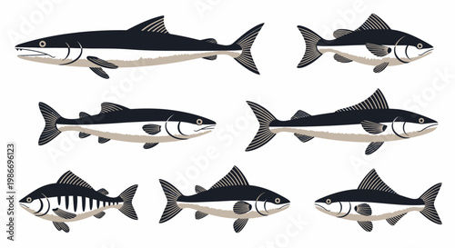 Group of Various Fish Species Swimming.