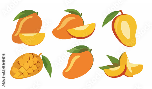 Mango tropical fruit vector illustration – fresh juicy fruit design