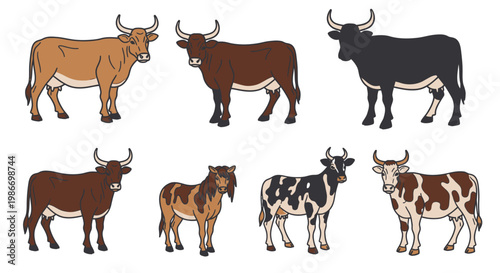 Cows of different breeds and colors.
