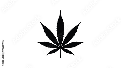 Cannabis leaf silhouette isolated on a white background represents marijuana legalization and herbal medicine or narcotics.