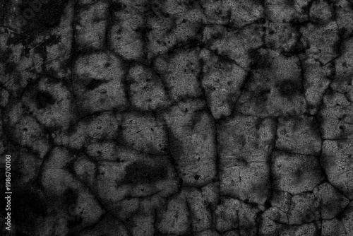 Black and White Cracked Surface Texture With Rough Grunge Details