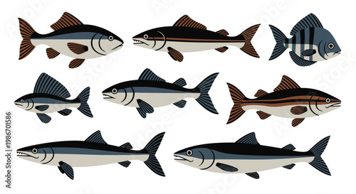 Collection of various fish species.