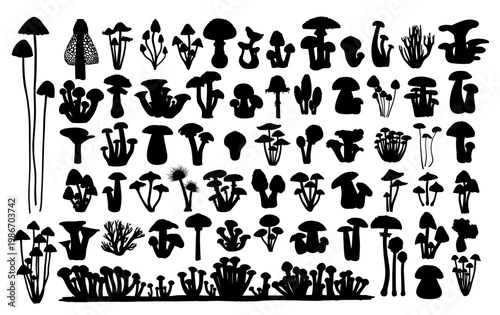 A set of silhouettes of forest mushrooms.

