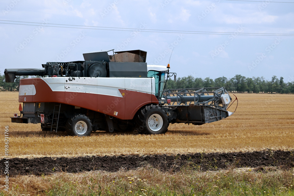 Fototapeta premium Modern combine harvester machine in a golden grain field
