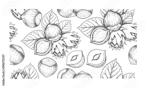 Hand drawn hazelnut pattern with leaves and nuts food vintage