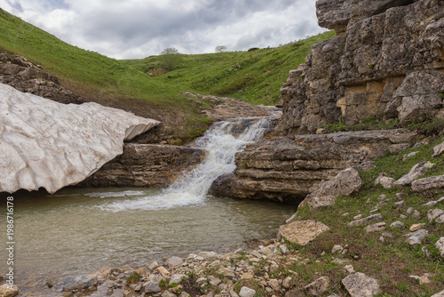 Alpine meadows with flowers and green vegetation in summer, the sources of a mountain river