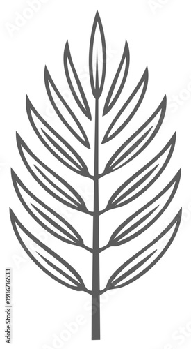 Stylized frond illustration minimalist design branch isolated plant leaves botany
