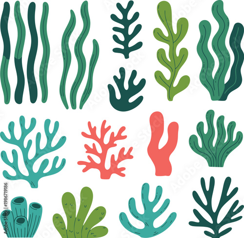 Seaweed coral icons showing cartoon aquatic plants ocean reef elements isolated on white background for marine design and illustration use