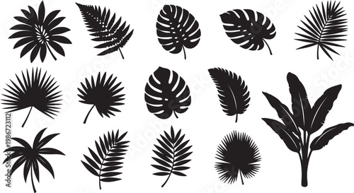Foto Tropical Green Leaf Collection: An array of verdant tropical leaves, meticulousl