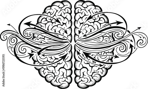 Detailed diagram of the human brain highlighting its surface structure isolated on transparent background