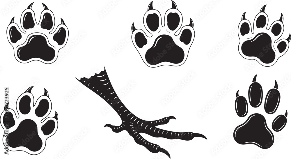 Fototapeta premium a collection of various kinds of animal footprints footprints icon vector set. Dinosaur tracks illustration sign collection. Animals footprints symbol.