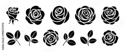 Set of black rose flower and leaf sprigs in various bloom stages isolated on a white background for silhouette