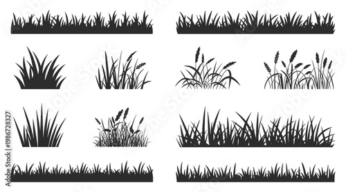 Set of black silhouettes of various grass patches and meadow plants isolated on a white background for landscape