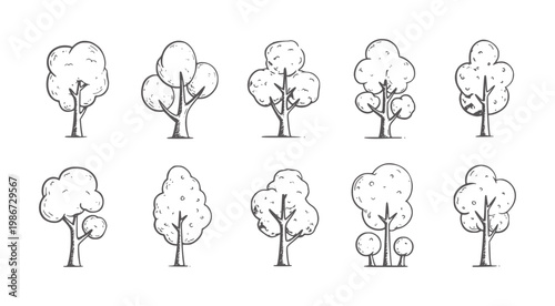 Hand drawn collection of ten diverse tree in style handdrawn nature plant doodle