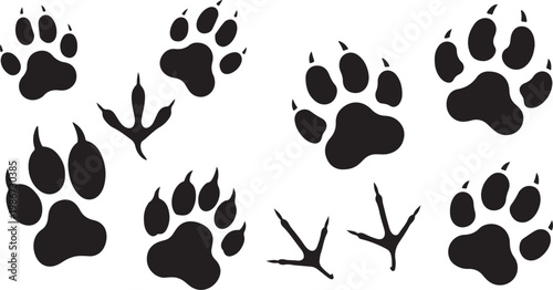 black bear paw prints with different claw styles on a white background illustration art