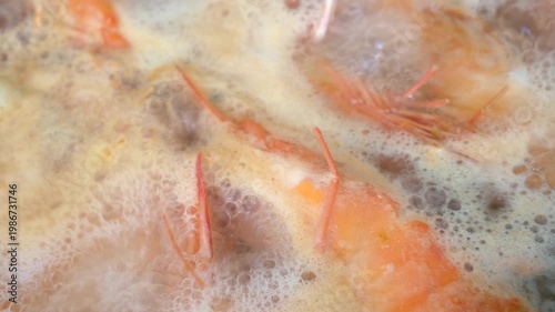 delicious king boiled shrimps, testy seafood