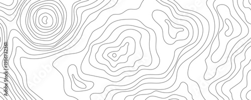 Topographic line contour map background. Geographic grid map. Abstract background with thin black topographic lines. Minimalist map design. Vector illustration