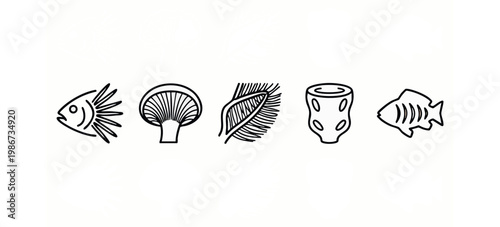 Outline icons of fish, mushroom, plant, and jar