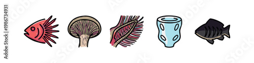 Colorful icons of fish, mushroom, and plant