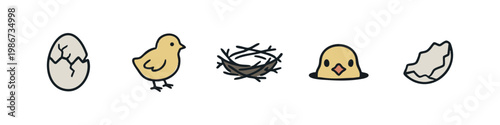 Chicks Hatching and Bird Nest Icons