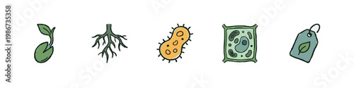 Scientific illustration icons: seedling, roots, bacterium, plant cell, tag