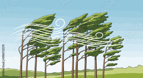 Tall green trees bending violently as strong wind blows through the branches during a powerful storm in the countryside landscape