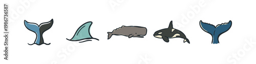 Ocean animal icons: whale tails, shark fin, whale, orca
