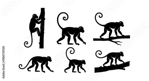 Monkey silhouette vector set, black primate icons in various poses, wild macaque and langur silhouettes climbing trees, 6 animal elements