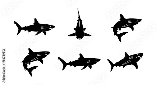 Shark silhouette vector set, great white shark icons in various swimming poses, black predatory fish collection, 6 marine animal elements