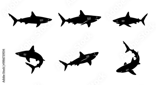 Shark silhouette vector collection, set of 6 black predatory fish icons, marine wildlife predator shapes for ocean conservation and surf branding