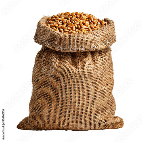 Rustic Burlap Sack Full of Wheat Grains Isolated on Transparent Background for Design Projects