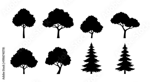 Black tree silhouettes set, collection of 8 deciduous and coniferous tree icons, forest plant vector elements for landscape design and architecture