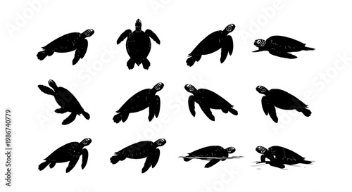 Sea turtle silhouette collection, set of 12 marine animal vector icons, black aquatic reptile shapes, ocean wildlife illustrations for nature design
