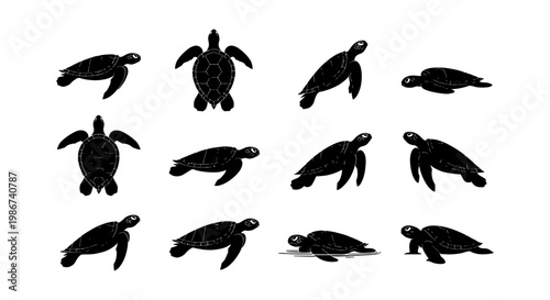 Sea turtle silhouette collection, set of 12 aquatic reptile icons, black marine turtle vector illustrations for ocean conservation and beach branding