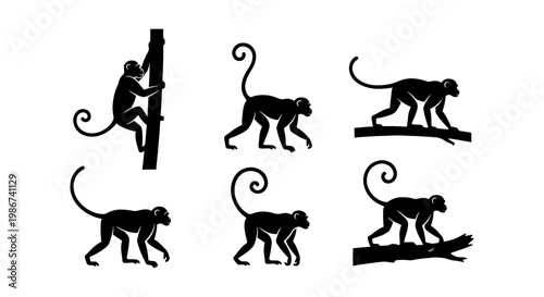 Black monkey silhouette set, wild primate vector icons in various poses, jungle animal climbing and walking silhouettes for nature design