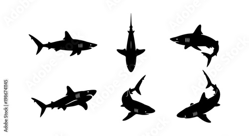 Shark silhouette vector collection, set of 6 black predatory fish icons, great white shark swimming poses, aquatic marine life graphics