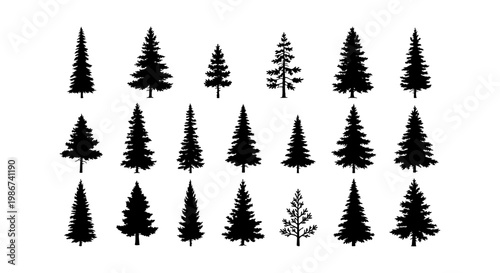 Pine tree silhouette collection, 21 conifer forest evergreen vector icons, black spruce and fir tree shapes for outdoor landscape design