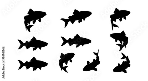 Black fish silhouette collection, set of 10 trout and salmon vector shapes, aquatic animal icons for fishing and nature design