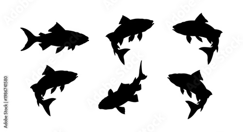 Salmon fish silhouette collection, black trout silhouettes in various swimming poses, set of 6 aquatic animal vector elements for fishing logos