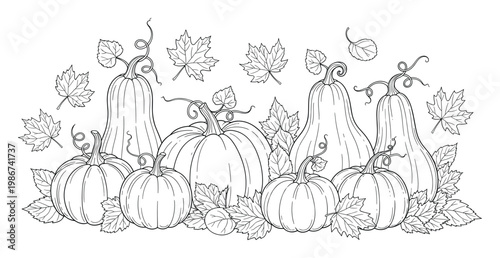 Outline drawing of various autumn pumpkins, gourds, and fall leaves creating a beautiful harvest arrangement, perfect for coloring activities, Thanksgiving cards, or seasonal promotions and