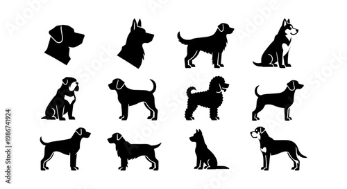 Minimalist dog breed silhouettes, set of 12 black canine vector icons, flat pet profile graphics for animal logos and veterinary branding