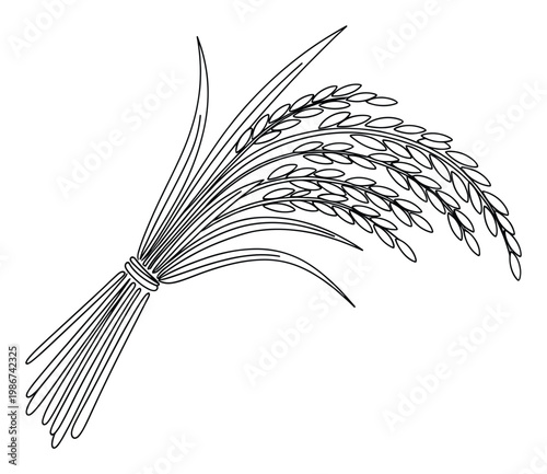 Black and white line drawing of a tied bundle of rice stalks with mature grains, perfect for agricultural themes, food packaging, or educational materials about staple crops and harvest.