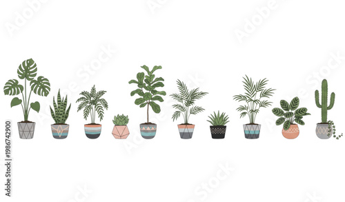 Stylish potted house plants vector collection with diverse indoor greenery and modern decorative containers