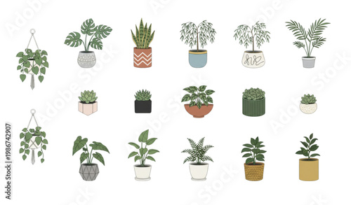 Decorative indoor house plants in pots vector set with modern home greenery collection illustration