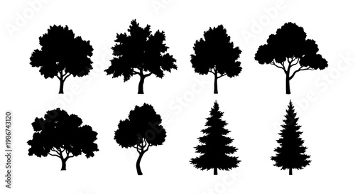 Black tree silhouettes collection, set of 8 deciduous and coniferous tree vector icons, forest plant shapes for landscape design and mapping