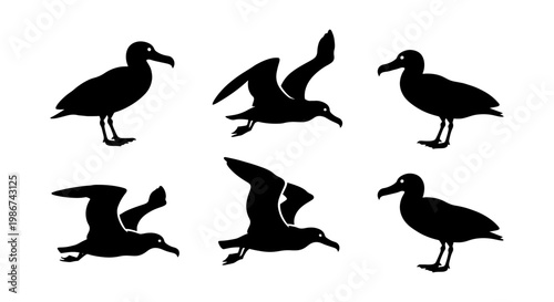 Albatross bird silhouettes set, black sea bird icons in flying and standing poses, 6 vector elements for marine wildlife design