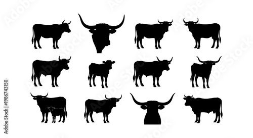 Black cow silhouettes set, 12 bull and cattle icons, longhorn steer and heifer vector shapes, farm animal livestock collection for ranch branding